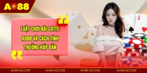 Bài Catte AO88
